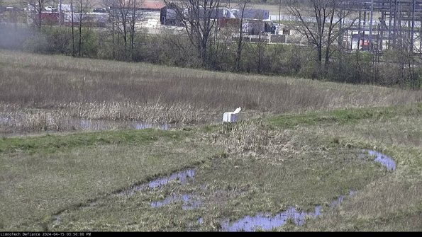 Cell 2 to 3_24-04-15_15-50-01-40