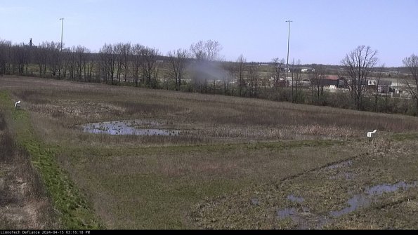 Cell 2_24-04-15_15-16-19-43