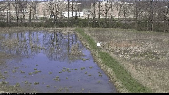 Cell 3 to 4_24-04-15_13-36-32-31