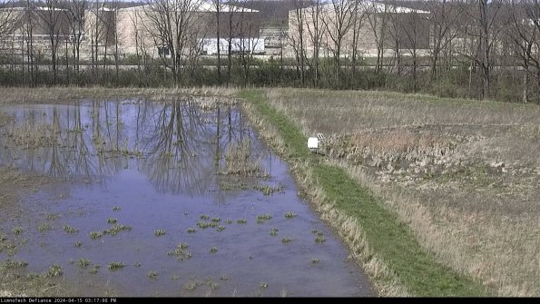 Cell 3 to 4_24-04-15_15-17-01-31