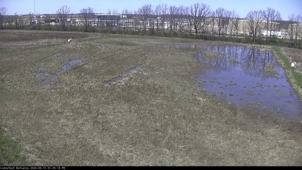 Cell 3_24-04-15_13-36-18-56