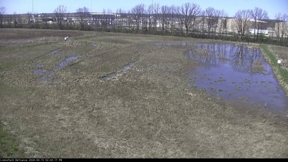 Cell 3_24-04-15_14-43-17-60