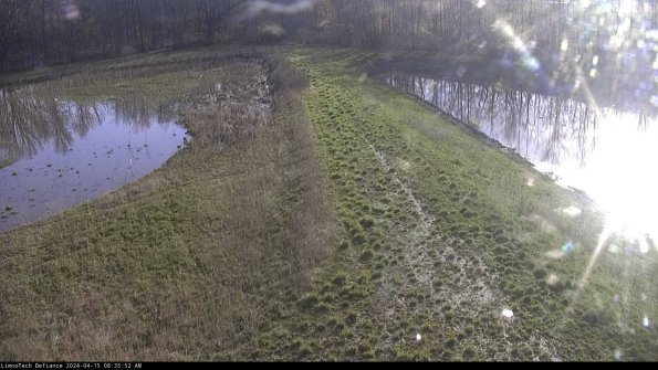 Cell 4 to Basin_24-04-15_08-35-53-35