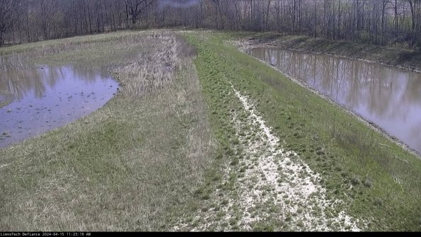 Cell 4 to Basin_24-04-15_11-23-20-31