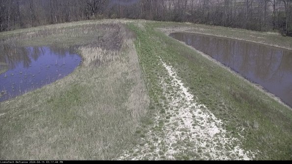 Cell 4 to Basin_24-04-15_15-17-45-35