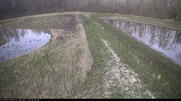 Cell 4 to Basin_24-04-15_20-19-07-32