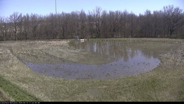 Cell 4_24-04-15_11-22-50-31