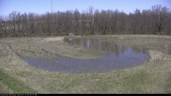 Cell 4_24-04-15_14-10-16-31