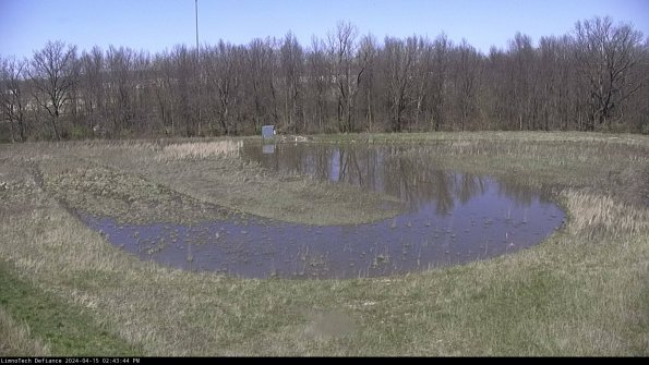 Cell 4_24-04-15_14-43-45-33