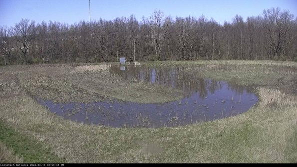 Cell 4_24-04-15_15-50-44-31