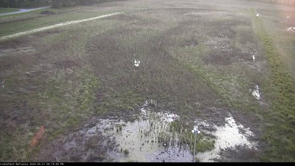 Cell 1_24-04-21_20-18-47-31