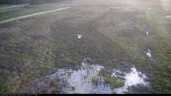 Cell 1_24-04-21_20-52-16-32