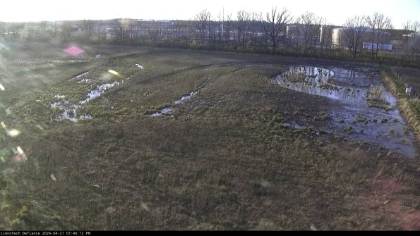 Cell 3_24-04-21_19-46-13-33