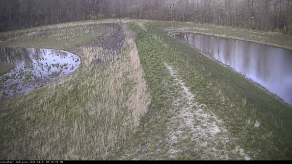 Cell 4 to Basin_24-04-21_20-20-40-32