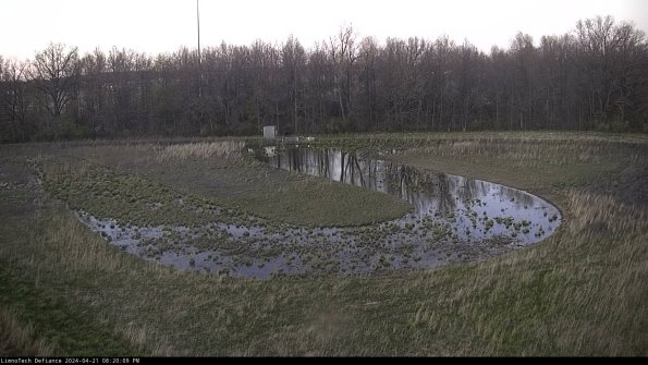 Cell 4_24-04-21_20-20-10-33