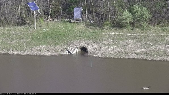 Basin Inflow_24-04-22_17-00-14-31