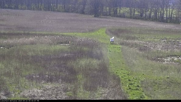 Cell 1 to 2_24-04-22_16-58-08-31