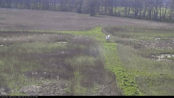 Cell 1 to 2_24-04-22_17-31-38-34