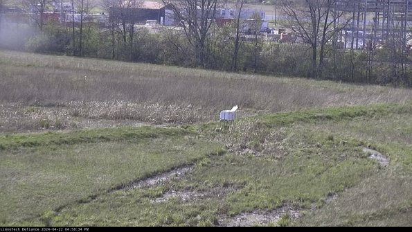 Cell 2 to 3_24-04-22_16-58-34-47