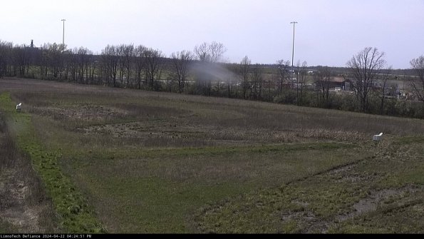 Cell 2_24-04-22_16-24-52-34