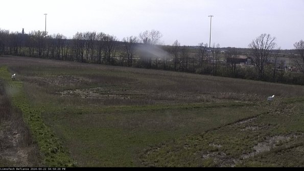 Cell 2_24-04-22_16-58-21-36