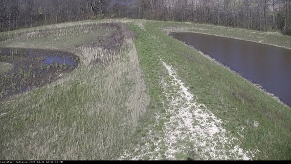 Cell 4 to Basin_24-04-22_16-59-47-31