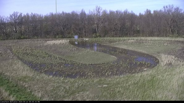 Cell 4_24-04-22_16-59-17-35