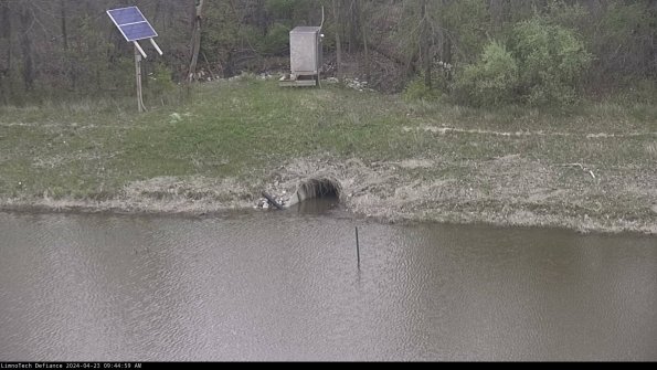 Basin Inflow_24-04-23_09-45-00-33