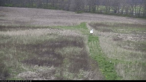 Cell 1 to 2_24-04-23_07-28-58-33