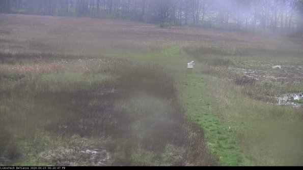 Cell 1 to 2_24-04-23_16-24-48-30