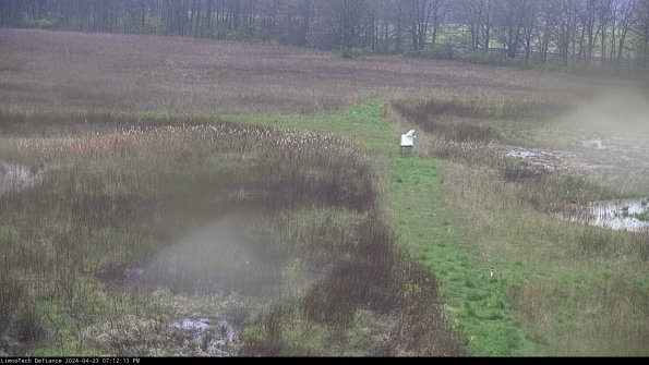 Cell 1 to 2_24-04-23_19-12-14-31