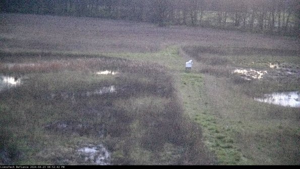 Cell 1 to 2_24-04-23_20-52-43-33