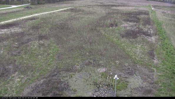 Cell 1_24-04-23_09-42-40-32