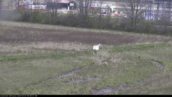 Cell 2 to 3_24-04-23_09-09-52-41