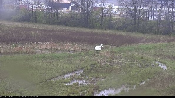 Cell 2 to 3_24-04-23_14-44-45-51