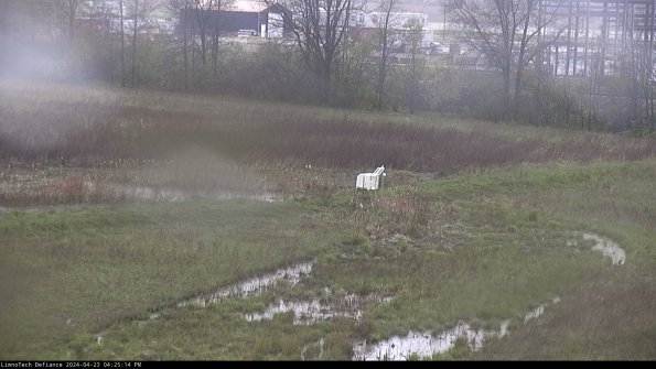 Cell 2 to 3_24-04-23_16-25-14-49