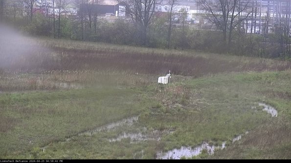 Cell 2 to 3_24-04-23_16-58-43-40