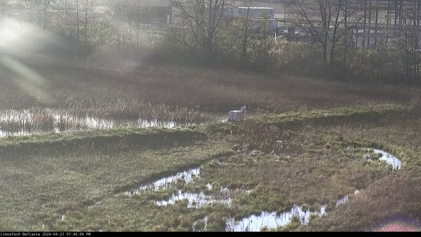 Cell 2 to 3_24-04-23_19-46-10-45