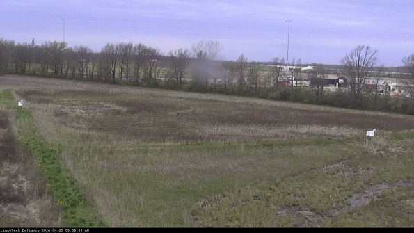 Cell 2_24-04-23_09-09-39-33