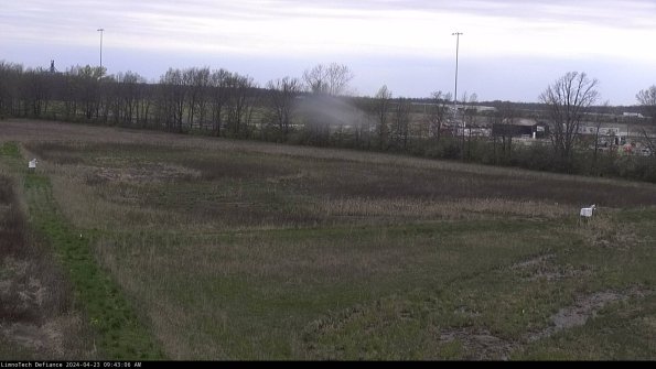 Cell 2_24-04-23_09-43-07-38