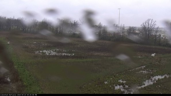 Cell 2_24-04-23_16-25-01-34