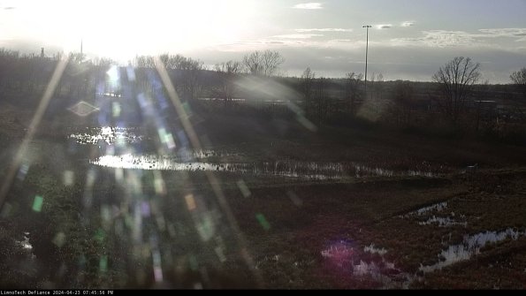 Cell 2_24-04-23_19-45-57-34