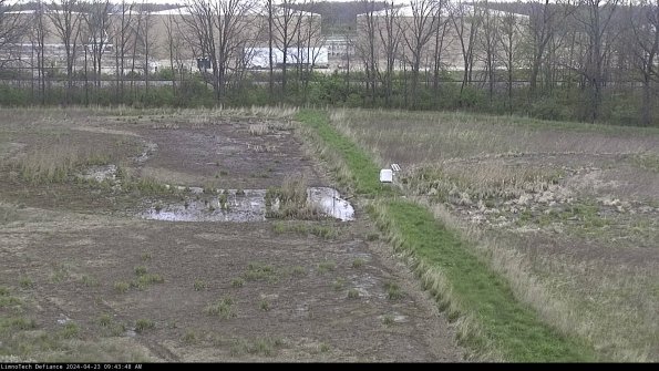 Cell 3 to 4_24-04-23_09-43-49-32