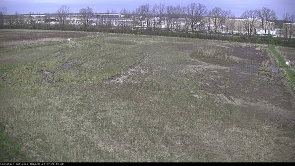 Cell 3_24-04-23_07-29-39-34