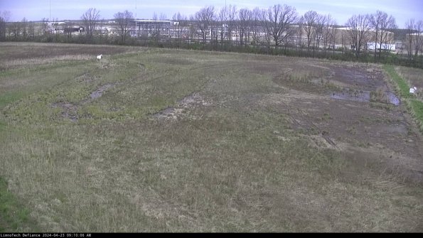 Cell 3_24-04-23_09-10-06-59