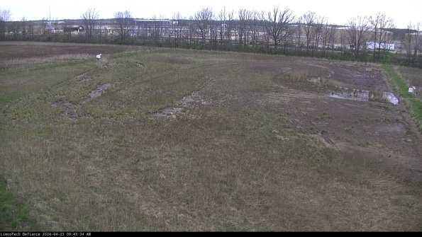 Cell 3_24-04-23_09-43-35-31