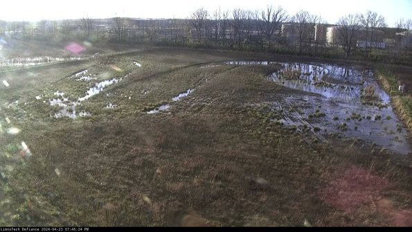 Cell 3_24-04-23_19-46-25-33