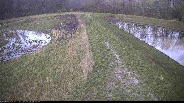 Cell 4 to Basin_24-04-23_20-20-53-34