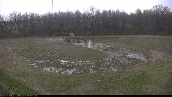 Cell 4_24-04-23_08-37-05-34