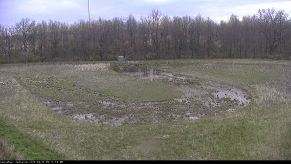 Cell 4_24-04-23_09-10-34-32